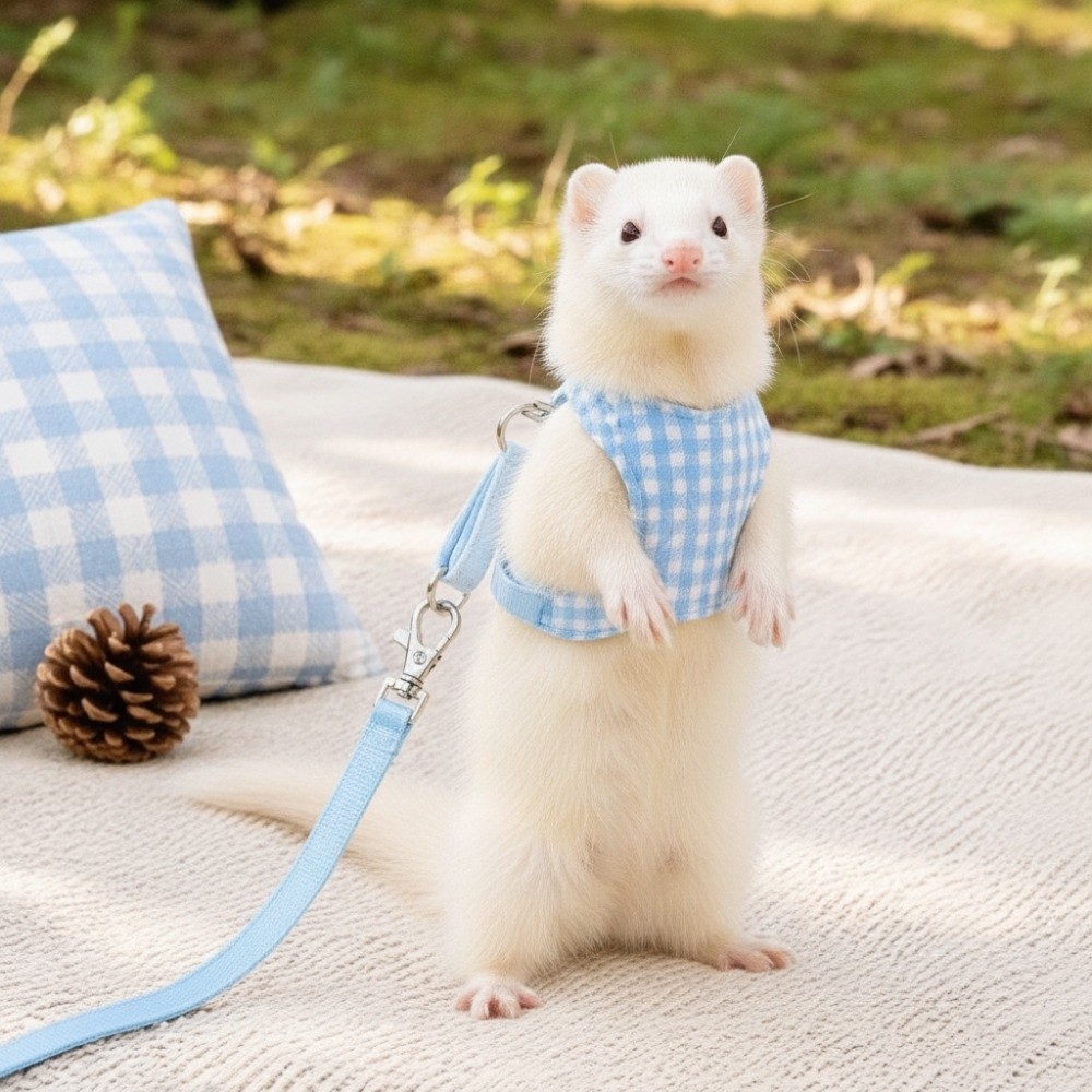 Plaid Ferret Escape-Proof Harn - D Ring Strap ulasan dan harga